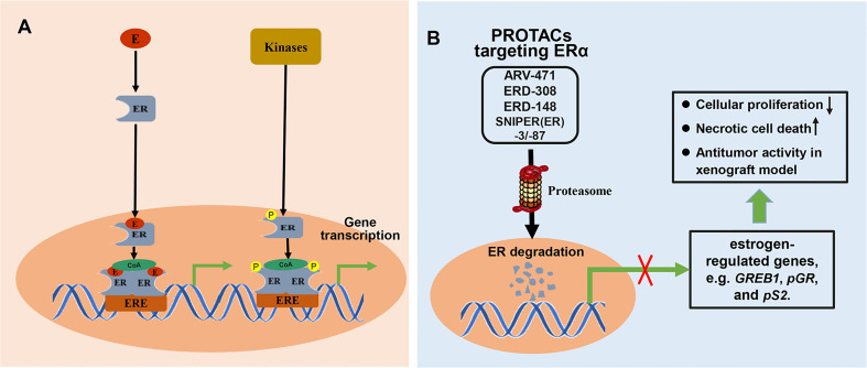 Figure 6