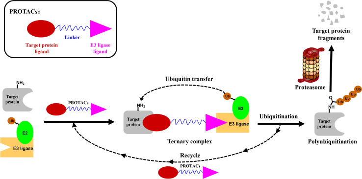 Figure 1