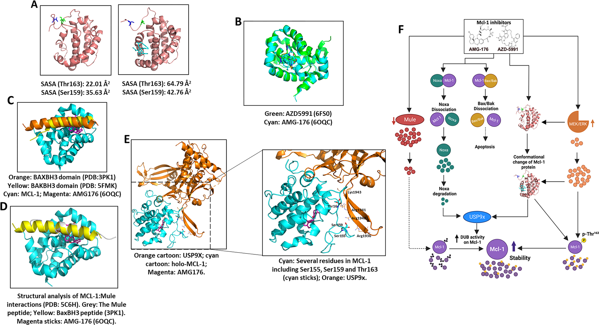 Figure 6.