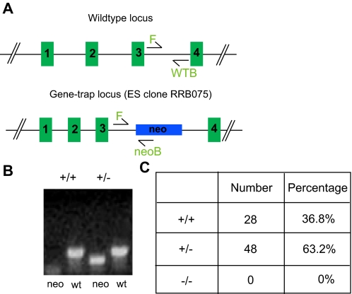 FIGURE 4.