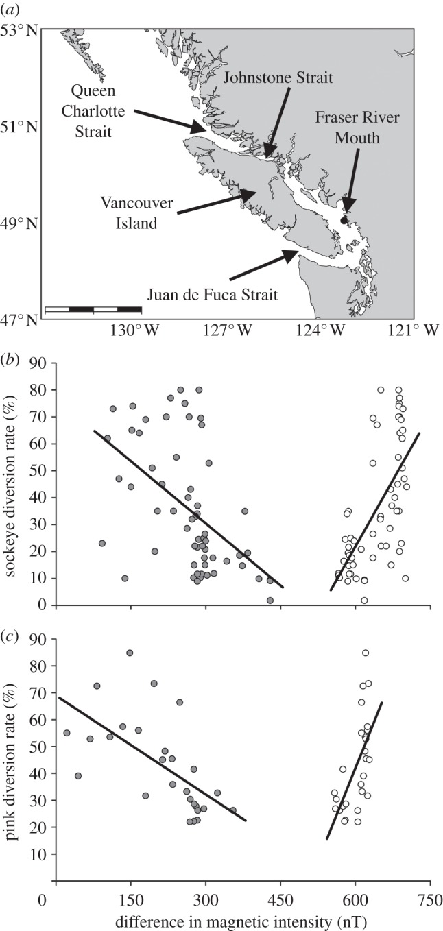 Figure 2.