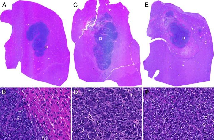 Figure 3: