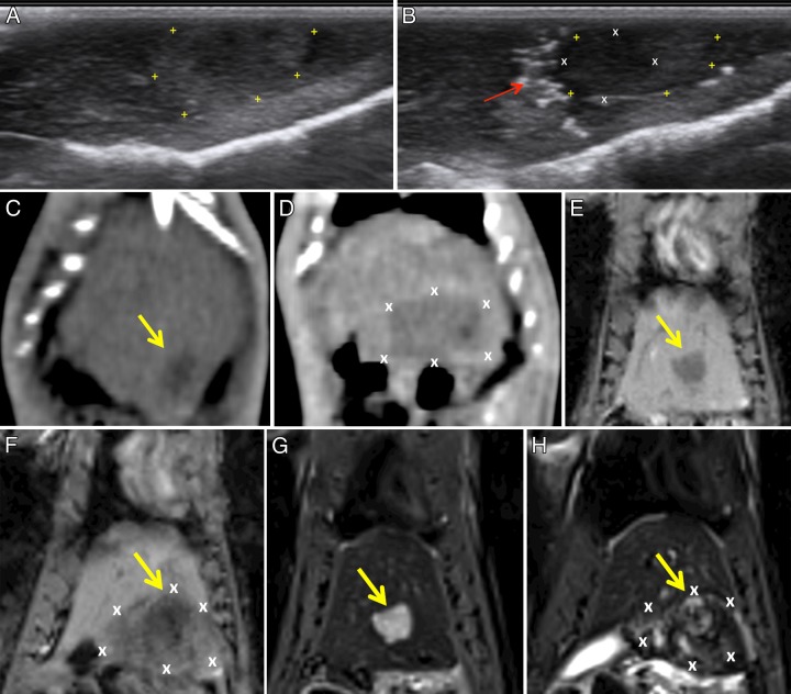 Figure 2: