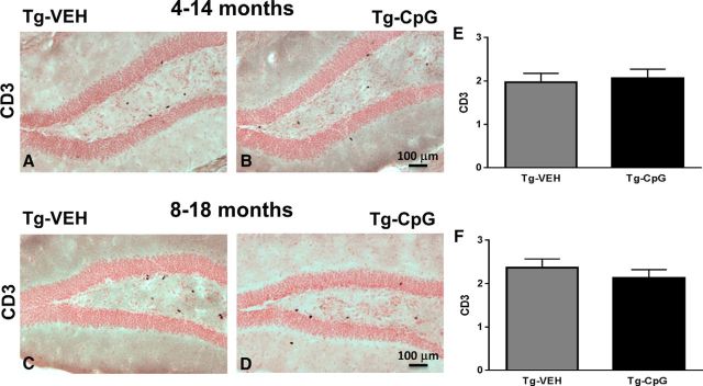 Figure 13.