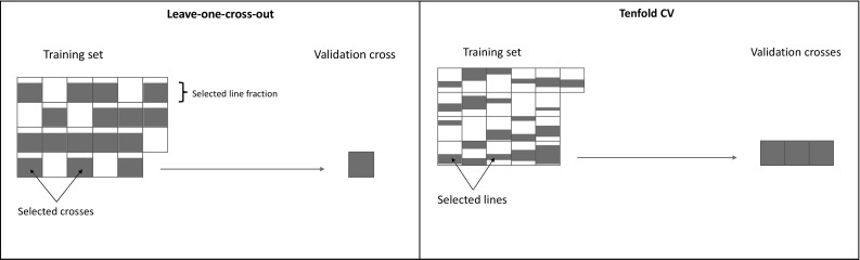 Fig. 1