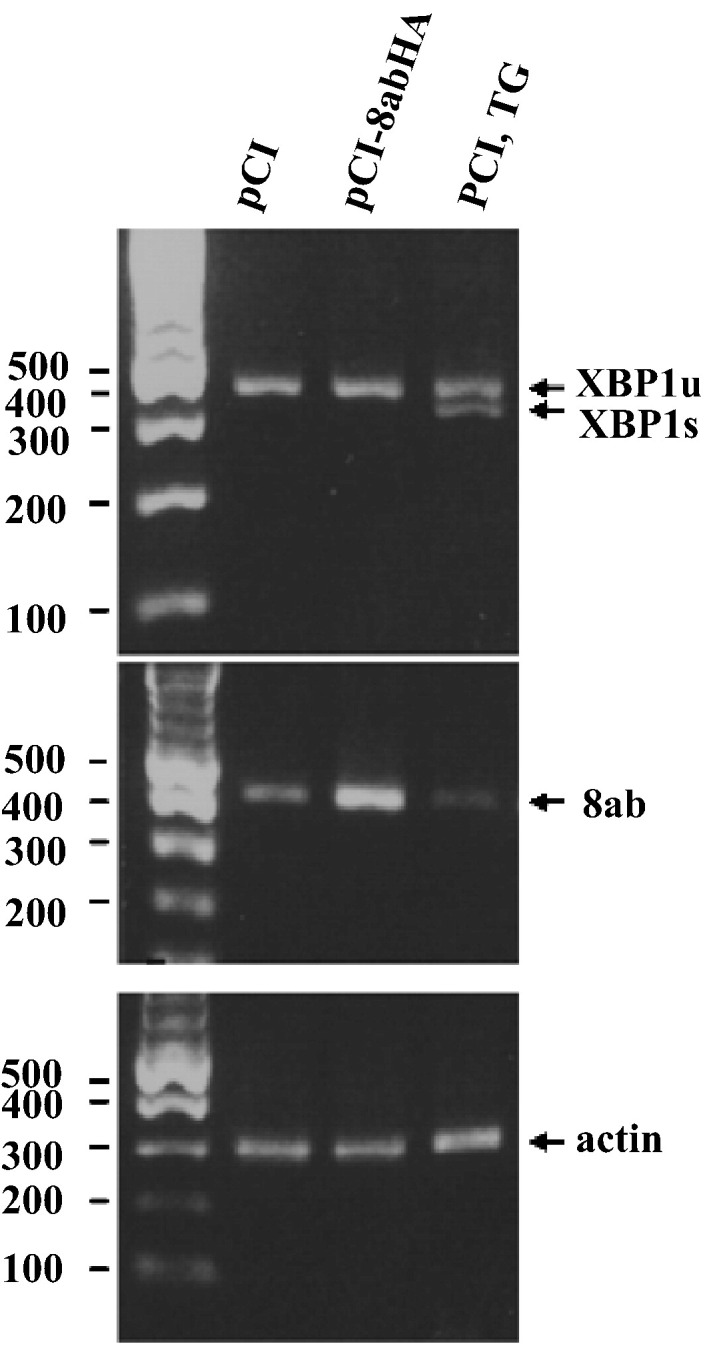 Fig. 9