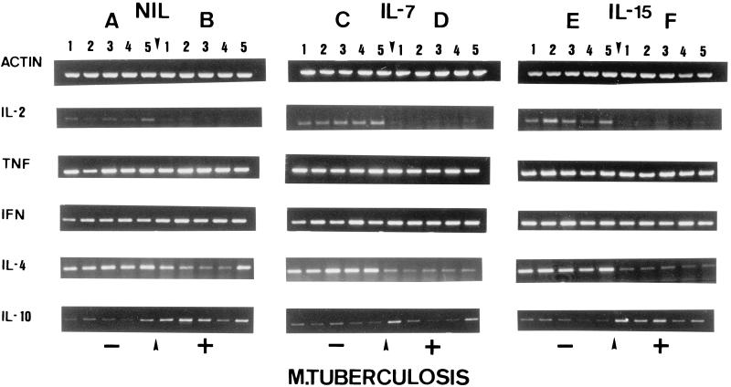 FIG. 5