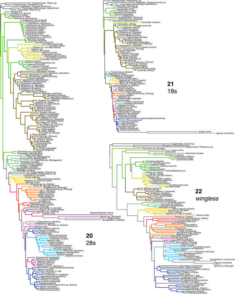 Figures 20–22.