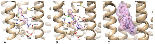 Fig. (8)