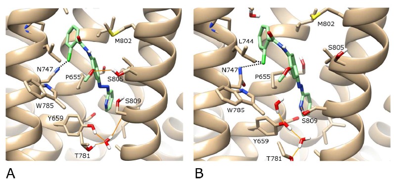 Fig. (5)