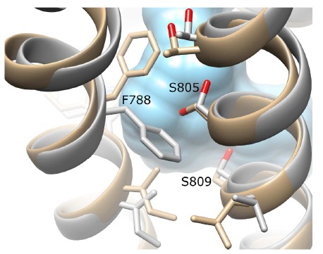 Fig. (6)