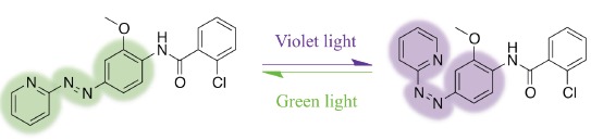 Fig. (1)