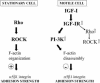 Figure 10.