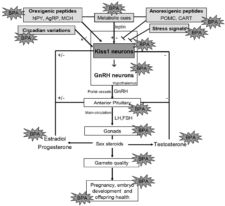 Fig. (3)