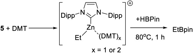 Scheme 5