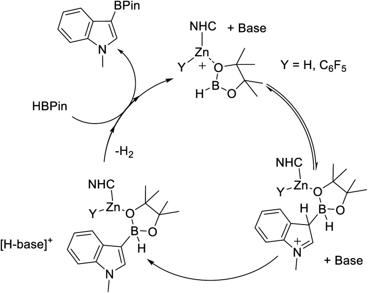 Fig. 5