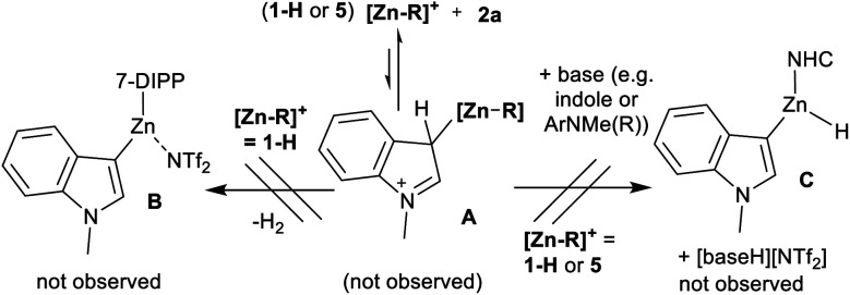 Scheme 3