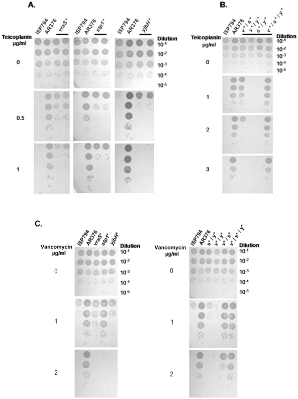 Figure 2