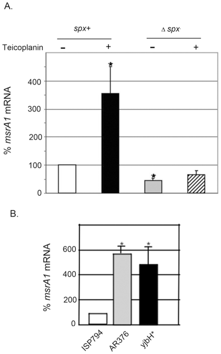 Figure 5