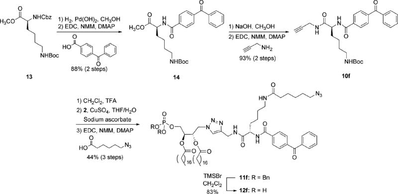 Scheme 3