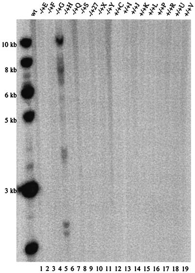 FIG. 7.