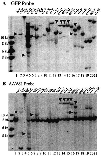 FIG. 6.