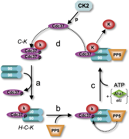 Figure 7