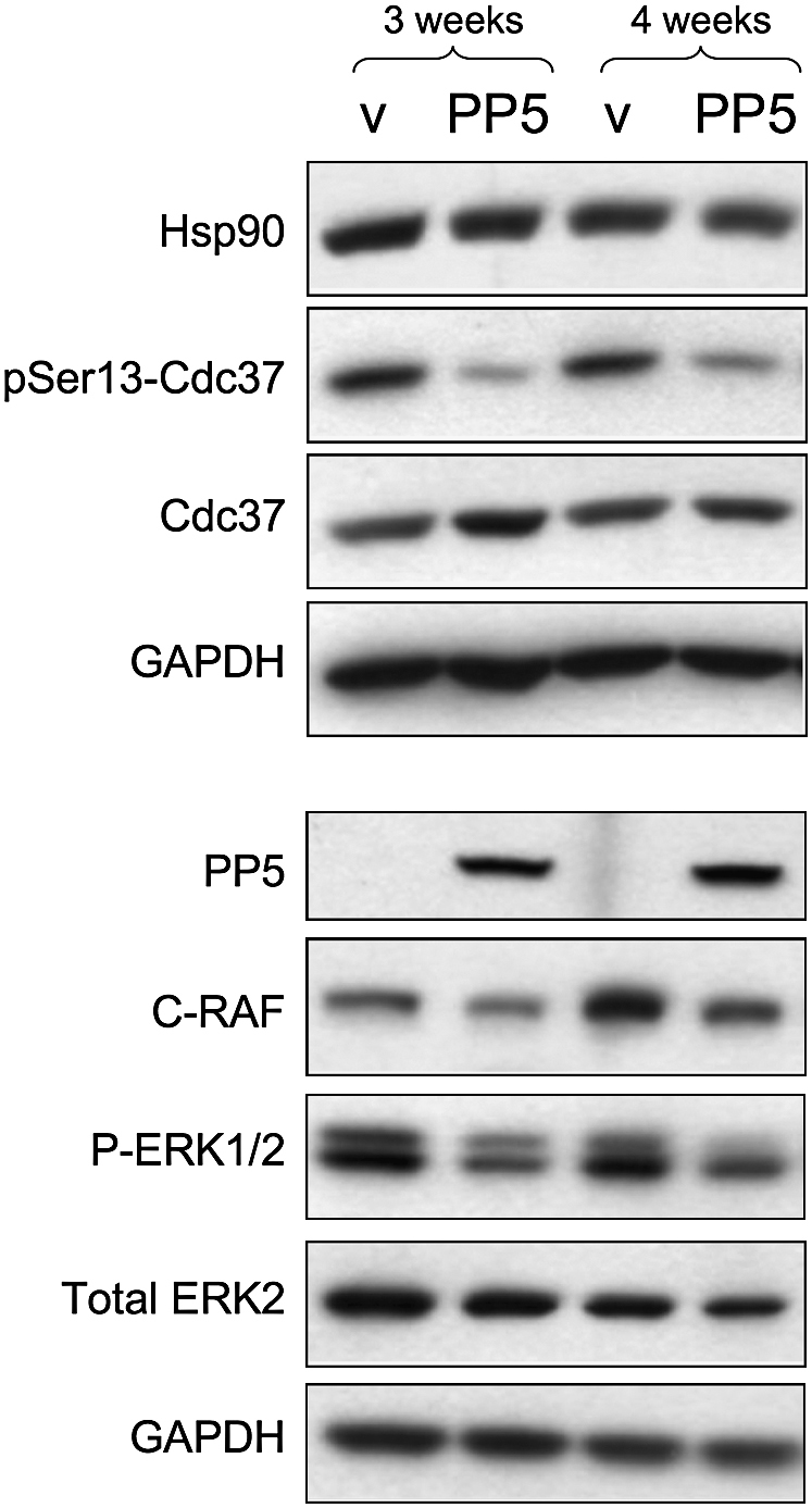 Figure 6