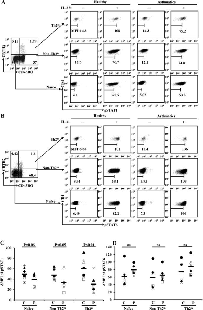 FIG 5