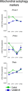 Figure 6