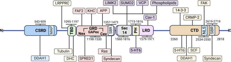 Fig. 1