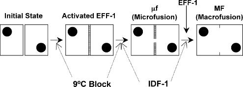 Figure 10.