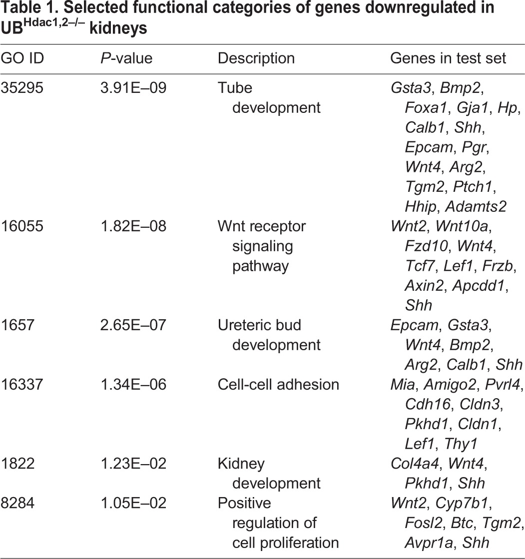graphic file with name develop-142-113506-i1.jpg
