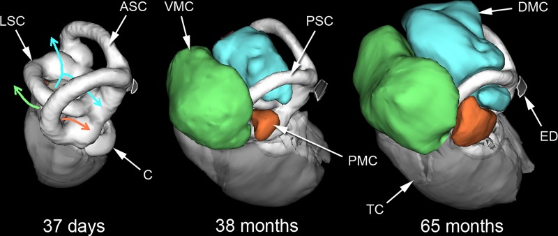 Fig 6