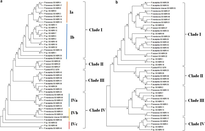 FIG 4