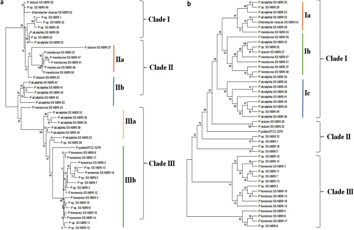 FIG 3