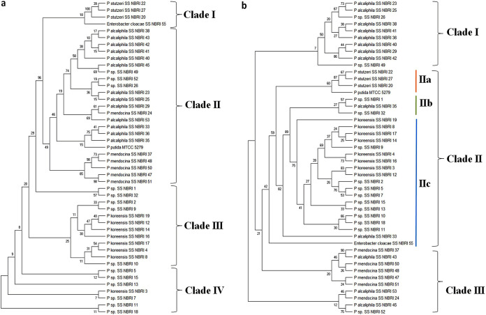 FIG 2