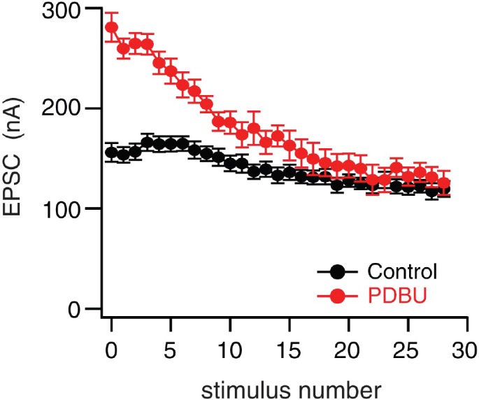 Figure 1—figure supplement 1.