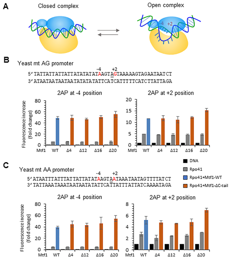 Figure 3.