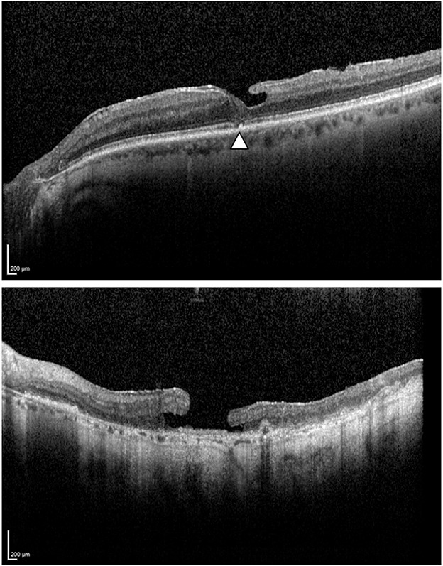 Fig. 2.