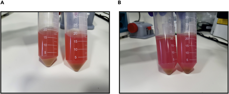 Figure 7