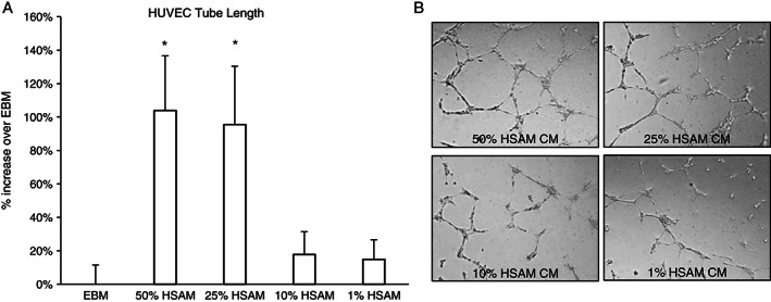 IWJ-12748-FIG-0005-b