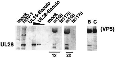 FIG. 6