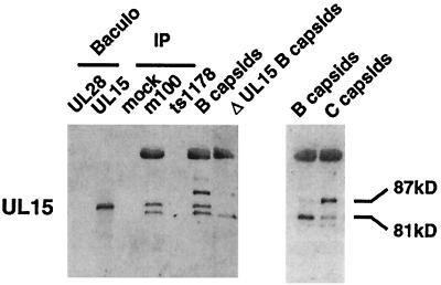 FIG. 5