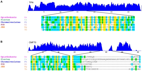 Fig. 7.