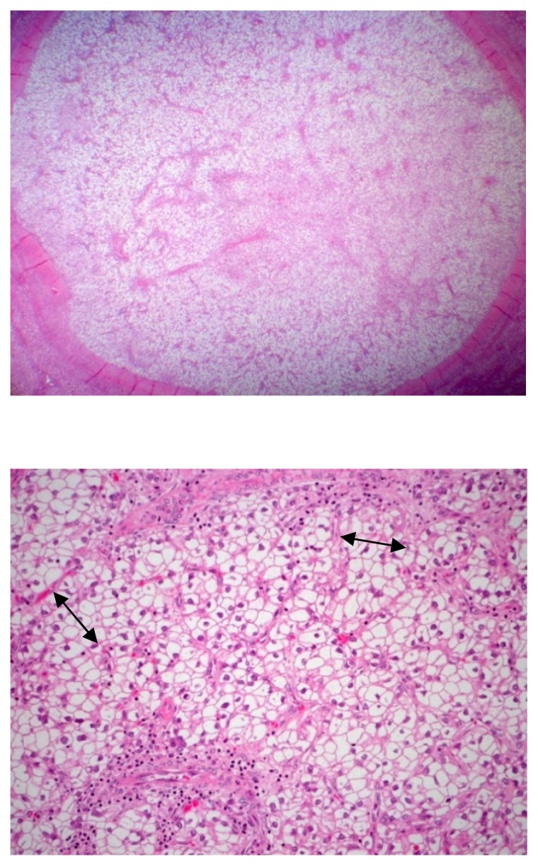 Fig. 1–2