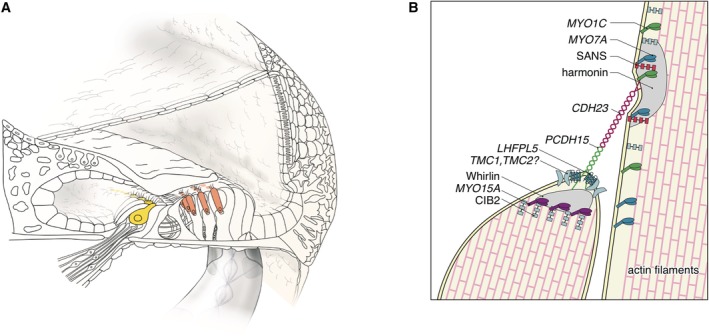 Figure 17