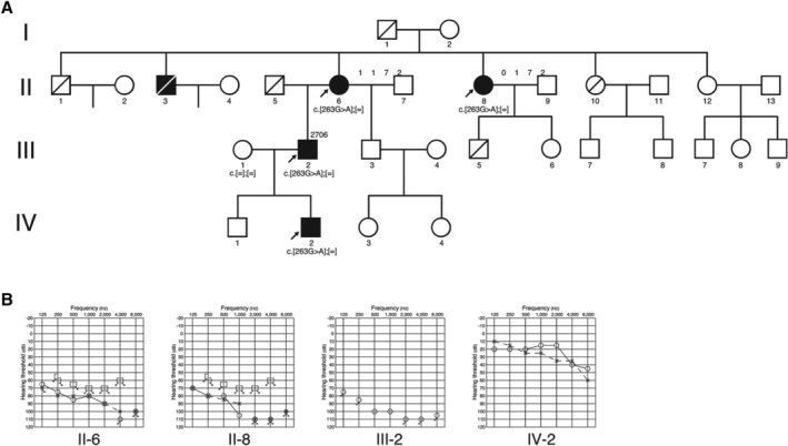 Figure 40