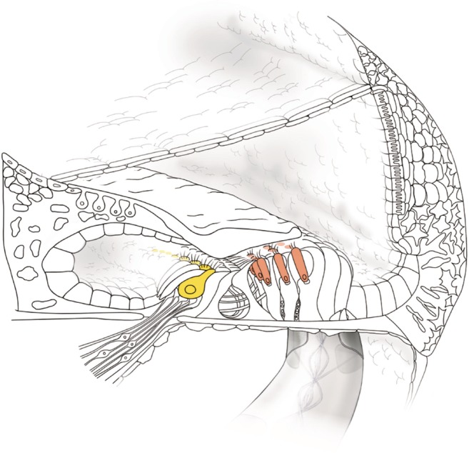 Figure 35