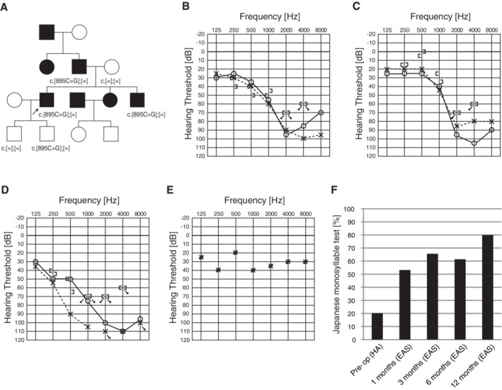 Figure 28